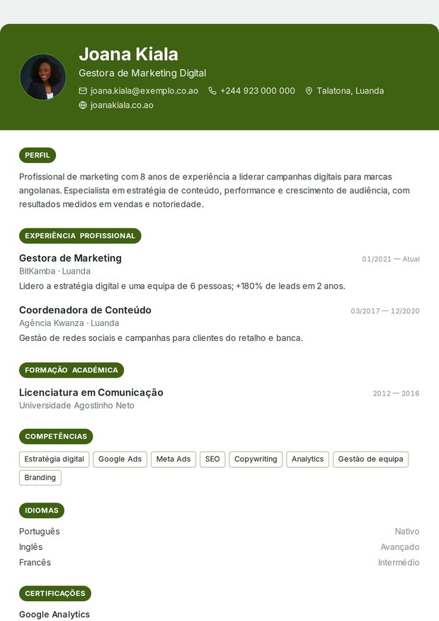 Modelo de currículo Diretor de Arte