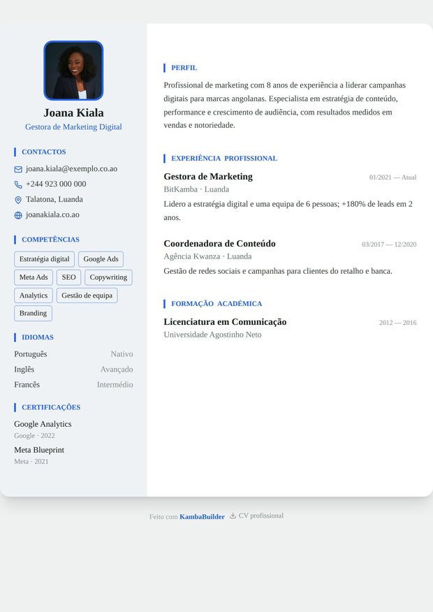 Modelo de currículo Executivo Negro