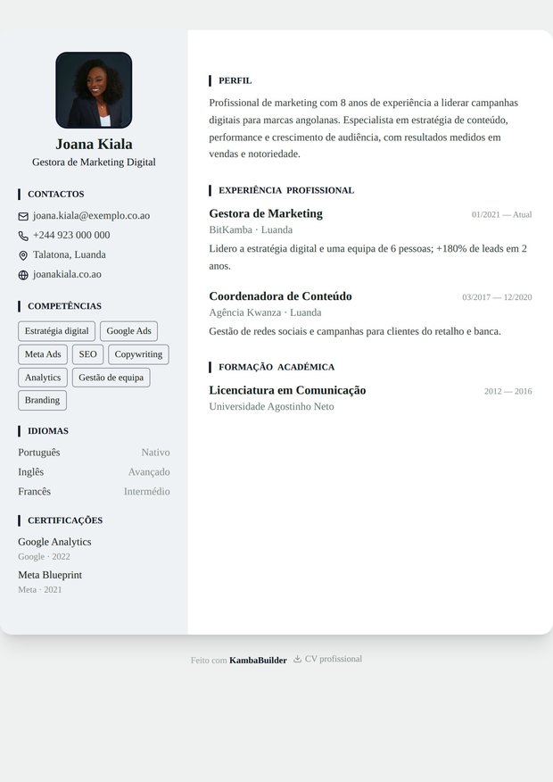 Modelo de currículo Executivo Global