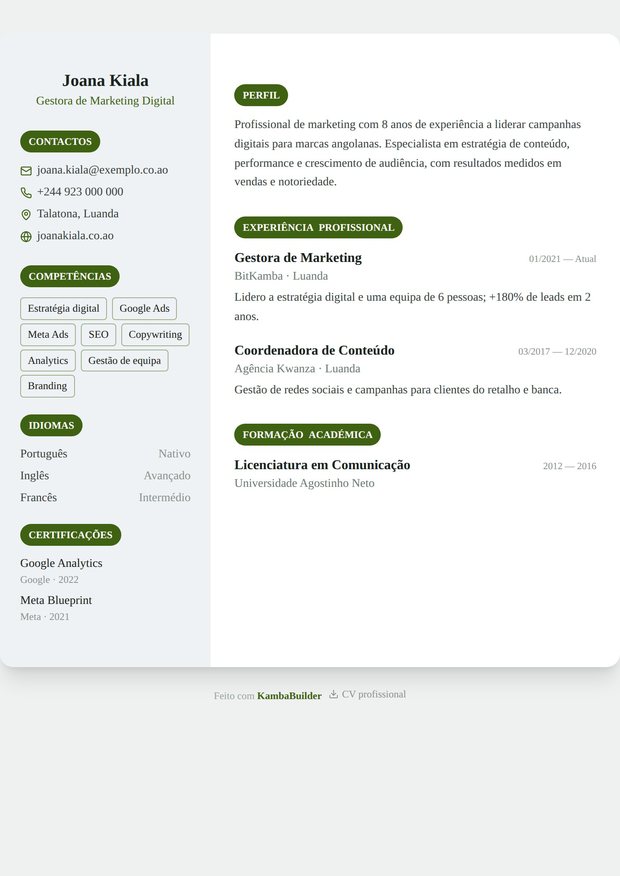 Modelo de currículo Perfil CEO