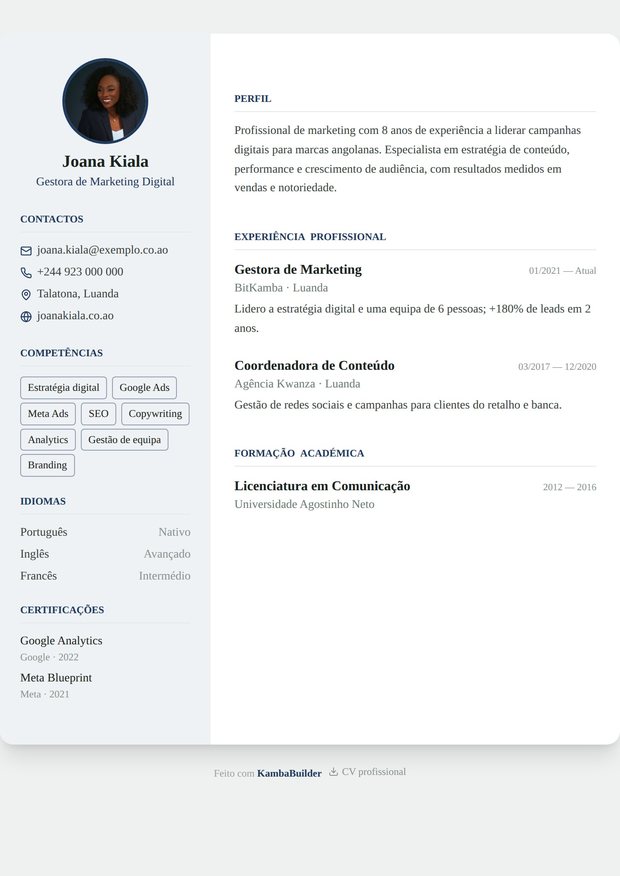 Modelo de currículo Diretor Premium