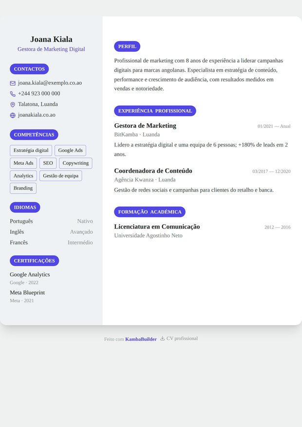 Modelo de currículo Consultor Executivo