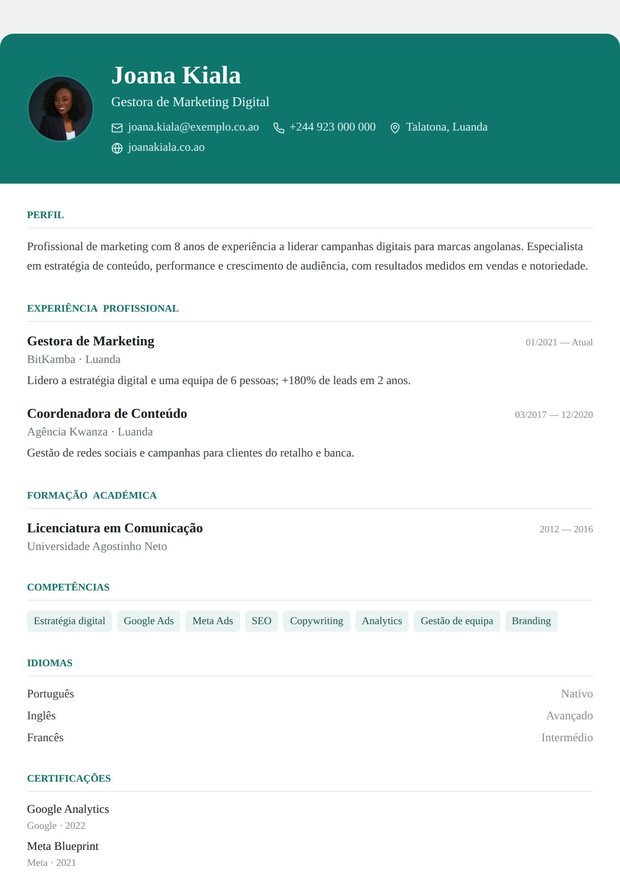 Modelo de currículo Consultor Independente