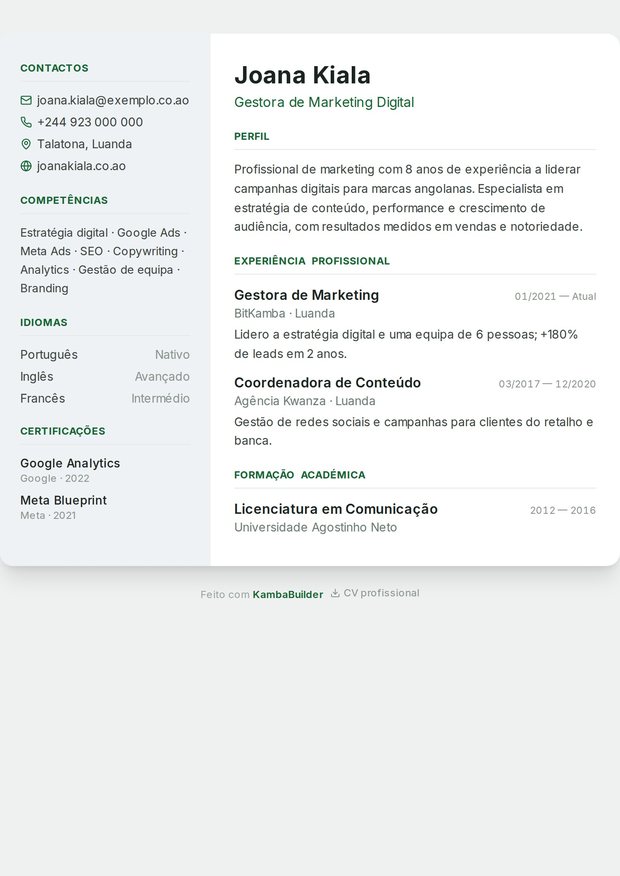 Modelo de currículo Angola Profissional