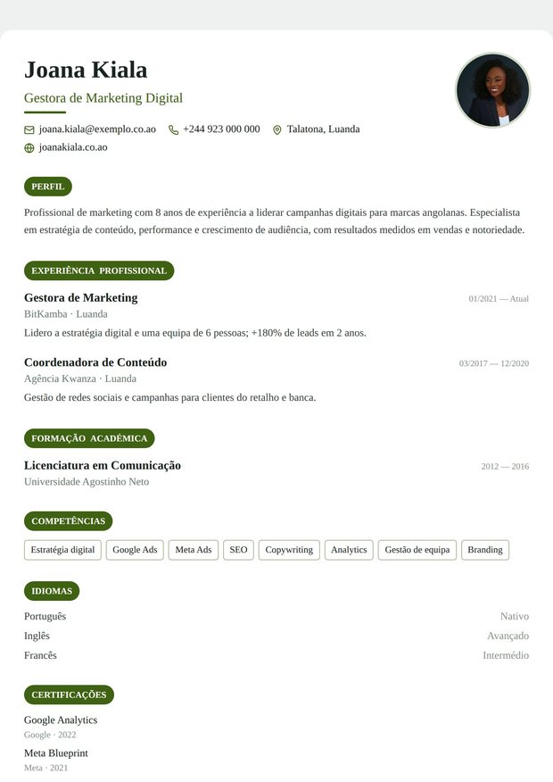 Modelo de currículo Universal Pro