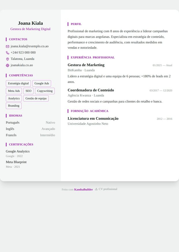 Modelo de currículo Uma Página Premium