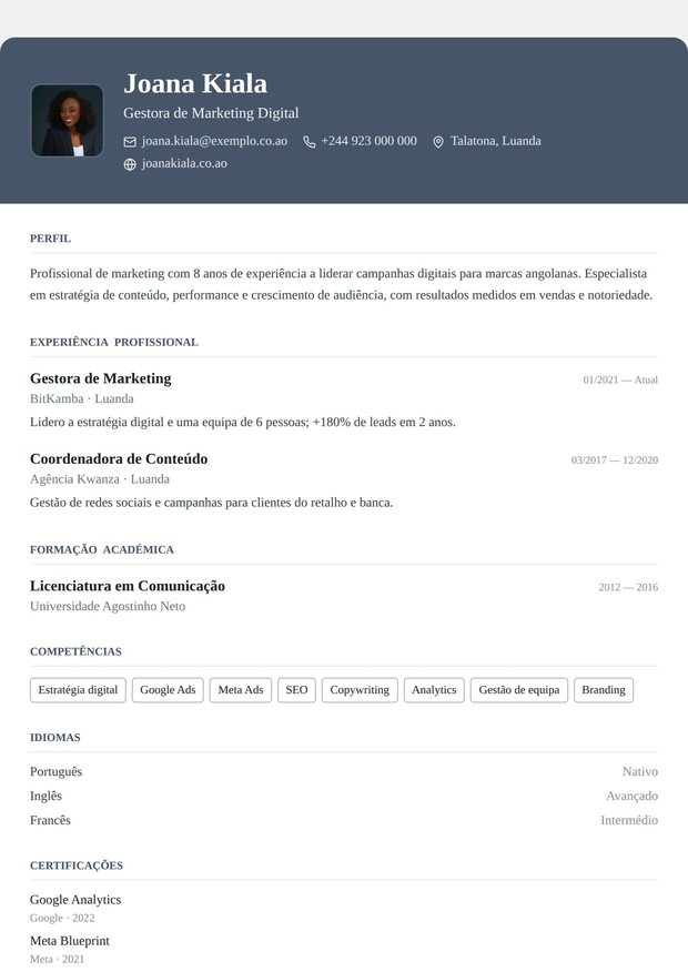 Modelo de currículo Duas Páginas Premium